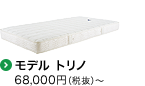 モデル トリノ　68,000円〜　080