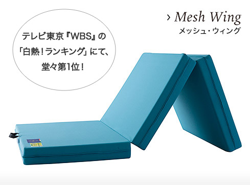 メッシュ・ウィング