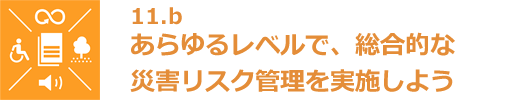 11.b あらゆるレベルで、総合的な災害リスク管理を実施しよう