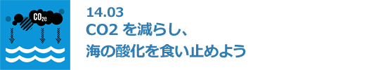 14.03 CO2を減らし、海の酸化を食い止めよう