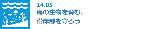 14.05 海の生物を育む、沿岸部を守ろう