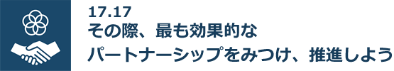 17.17 その際、最も効果的なパートナーシップをみつけ、推進しよう