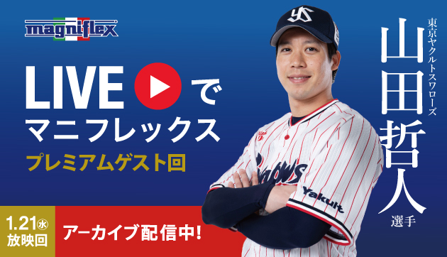 すみにゃんさん専用（決定済み）【美品】マニフレックス magniflex すみにゃんさん専用（決定済み）【美品】マニフレックス magniflex