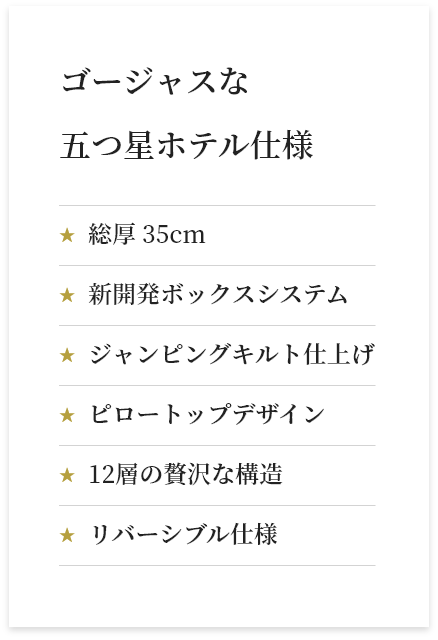 ゴージャスな五つ星ホテル仕様