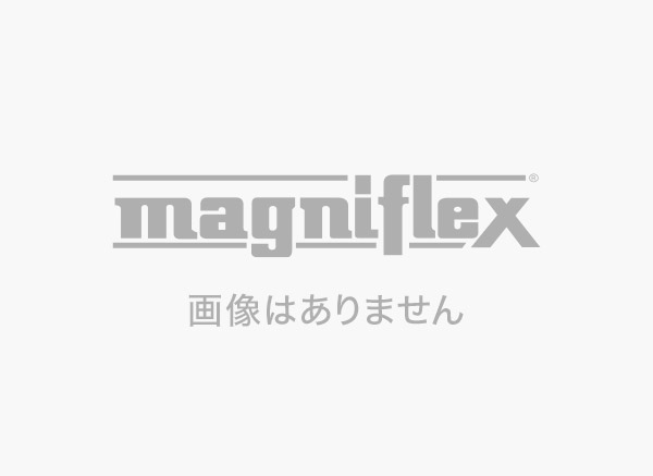 川崎ホテルパーク