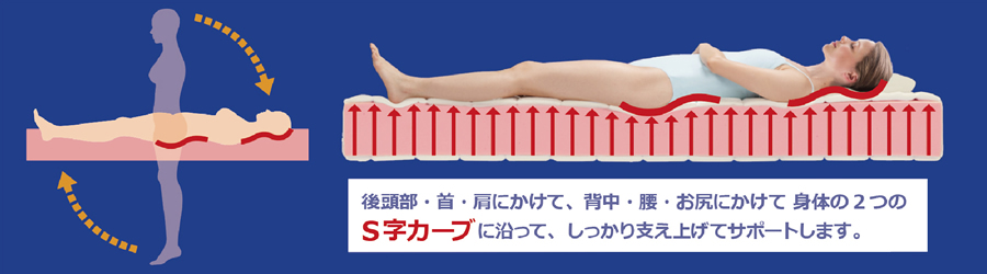 後頭部・首・肩にかけて、背中・腰・お尻にかけて　身体の2つのS字カーブに沿って、しっかり支え上げてサポートします。